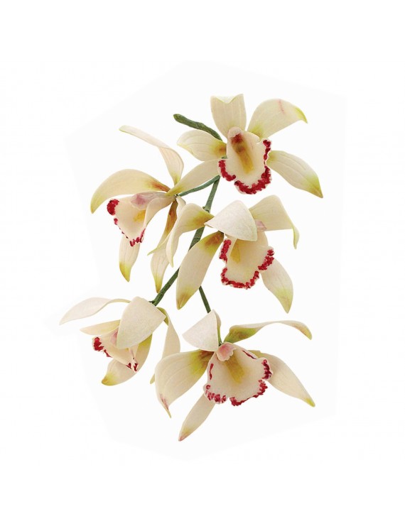 JEM Cortador de Orquídeas Medianas Cymbidium, Juego de 8