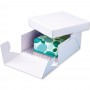 PME Caja y Base para Tartas Cuadrada (12mm) 35x35x15 cm